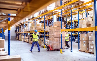 White Paper: Warehouse Scaling – How to Maintain Efficiency and Organization